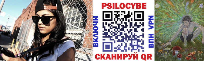 Псилоцибиновые грибы Psilocybe  магазин продажи   Осташков 