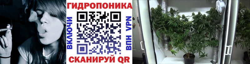 закладки  MEGA ТОР  Канабис план  Осташков 